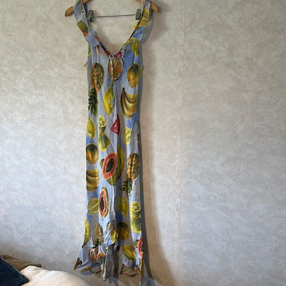 Aritzia Wilfred Blue Fruit-Print Maxi Dress